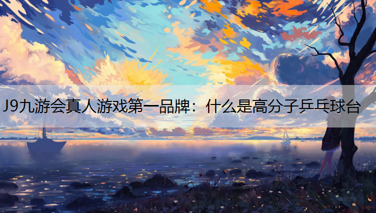 J9九游会真人游戏第一品牌：什么是高分子乒乓球台