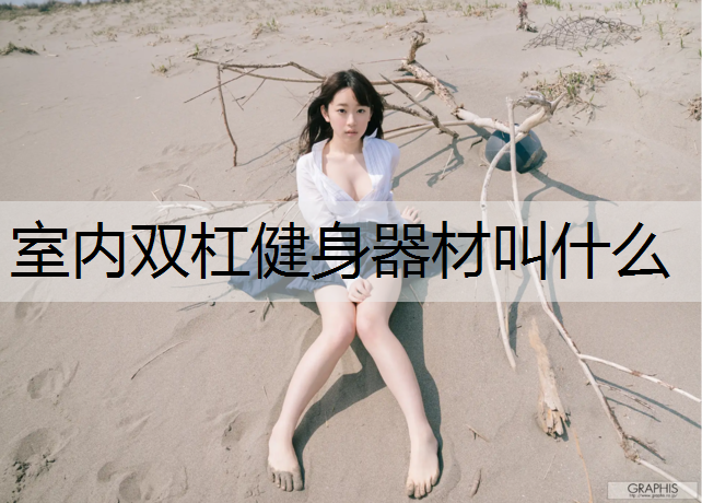 室内双杠健身器材叫什么