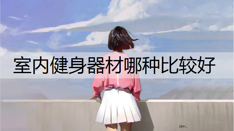 室内健身器材哪种比较好