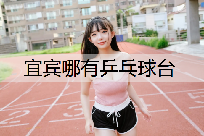 宜宾哪有乒乓球台