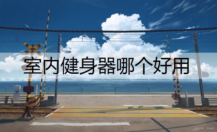 室内健身器哪个好用