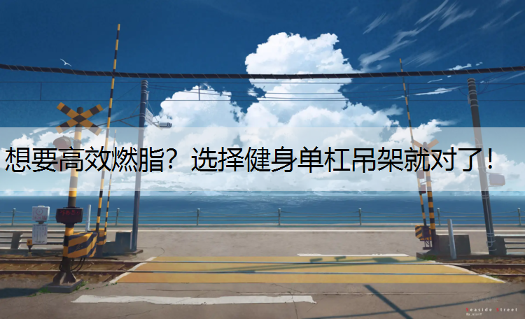 想要高效燃脂？选择健身单杠吊架就对了！