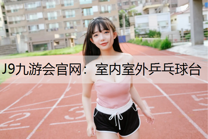 室内室外乒乓球台