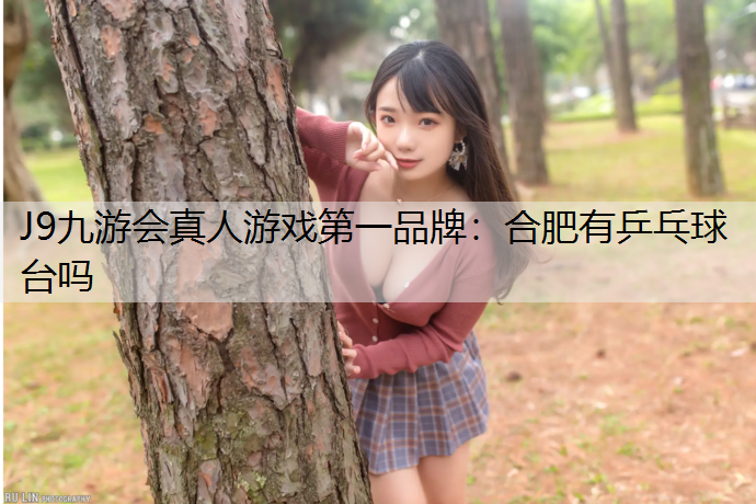 合肥有乒乓球台吗