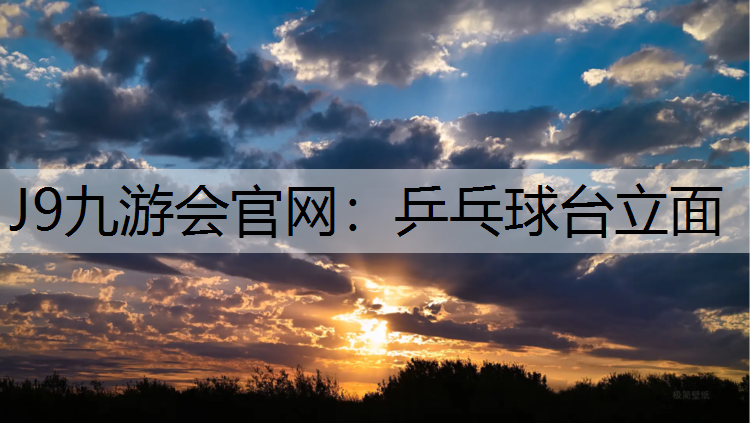 乒乓球台立面
